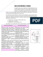 Análisis Cefalométrico de Bimler