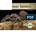 Trapdoor Spiders