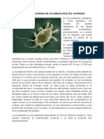 Enfermedades Parasitarias