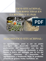 Diagnostico Situacional, Avances y Perspectivas en La