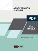 Formas de Extincion Laboral