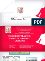 PPT. Clase 6. Hemohistopárasitos - AVL y Tv....................