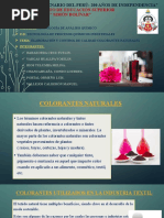 Diapositivas de Los Colorantes