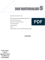 Ciencias Naturales Taller para 5 4