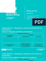 Clase 4. Glucogeno, Gluconeogenesis, Glicemia