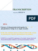 Dna Transcripton