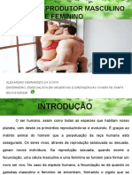 Sistema Reprodutor Masculino e Feminino