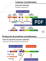 Teórico N6 Obtención de Proteínas Recombiantes 20-39