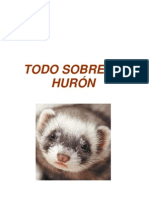 El Libro Del Hurón