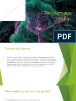 The Nervous System