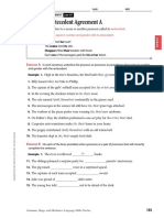 NEWProunoun Agreement Practice Indefinite