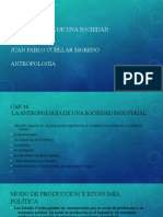 La Antropología de Una Sociedad Industrial