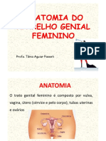 Aula 2 - Anatomia e Histologia Do Aparelho Reprodutor Feminino