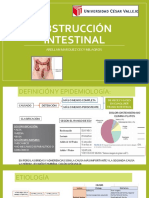 Obstrucción Intestinal