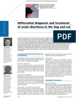 Differential Diagnosis and Treatment of Acute Diarrhoea in The Dog and Cat