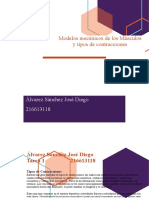 Modelos Mecánicos de Los Músculos y Tipos de Contracciones