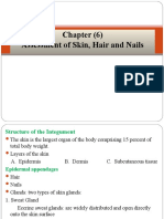 Chapter (6) Assessment of Skin, Hair and Nails