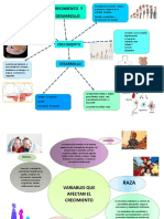 Crecimiento y Desarrollo