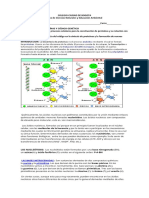 Guia Sintesis de Proteinas