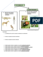 Tema 5 Acis Animales Vertebrados e Invertebrados