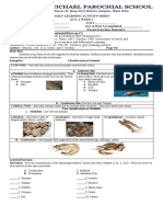 3Q (WEEK 1 ACT 1) Classification of Seafoods