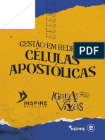 Rede Inspire Igrejas Vivas - Gestão de Células 19 Ok