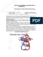 Fisiopatología Pérdidas Pasajeras de La Conciencia