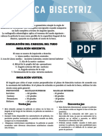 Tecnica Bisectriz: Angulación Del Cabezal Del Tubo Angulación Horizontal