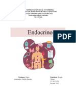 Endocrino