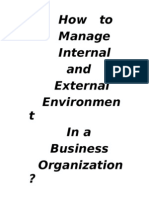 External and Internal Environment