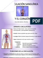 Corazón y Aparato Circulatorio