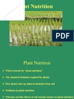 Plant Nutrition