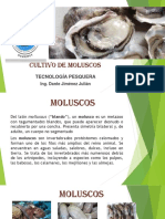 MOLUSCOS