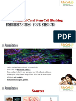 Umbilical Cord Stem Cell Banking