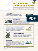 Tejido Conjuntivo-Infografia