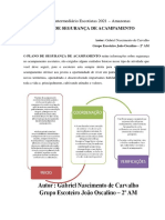 1 Plano de Segurança Acampamento Gabriel Carvalho Gejo