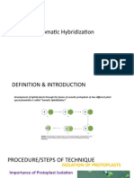 Somatic Hybridization