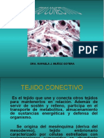 Tejido Conectivo