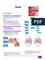 Pneumothorax Transes