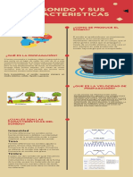 Infografia Fisica