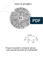 Metabolismo Do Glicogã Nio