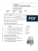 Study Guide: Section 2: The Respiratory System