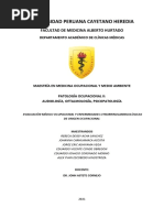 Evaluación Médico Ocupacional Otorrinolaringológicas - Grupo 4