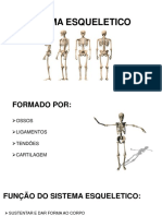 Sistema Esqueletico e Nervoso