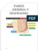 Pared Abdomina y Diafragma