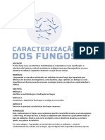 Caracterização Dos Fungos.