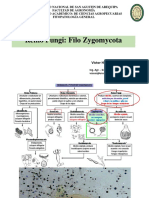 Aula 06-FG-21