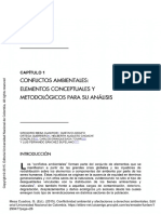 Conflictos Ambientales, Elementos Conceptuales y Metodológicos para Su Análisis