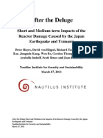 After The Deluge: Short and Medium-Term Impacts of The Reactor Damage Caused by The Japan Earthquake and Tsunami