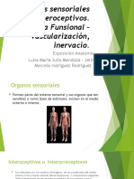 Exposicion Anatomia